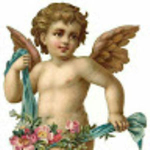 Meet your Posher, Baby